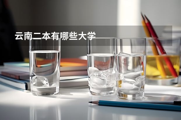 云南二本有哪些大学