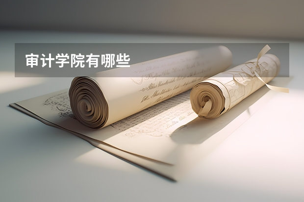 审计学院有哪些
