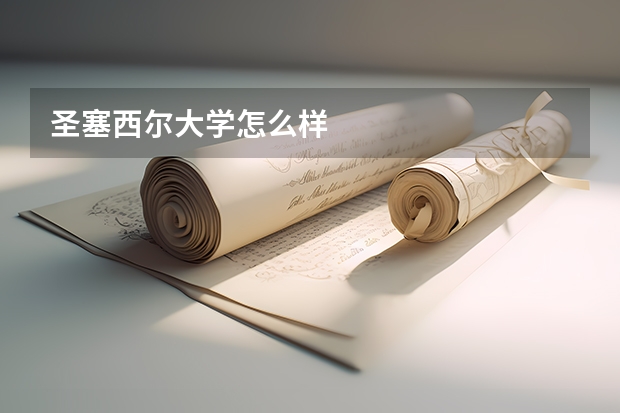 圣塞西尔大学怎么样