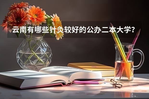 云南有哪些针灸较好的公办二本大学？