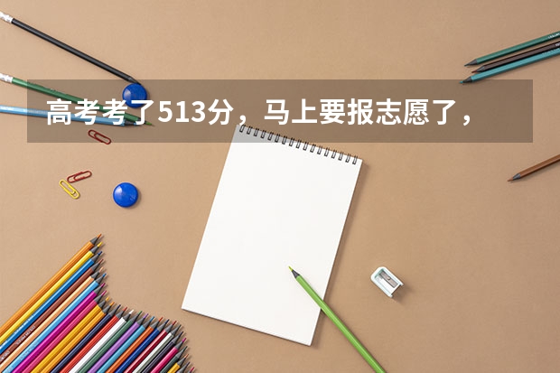 高考考了513分，马上要报志愿了，该报哪里啊，本科二批