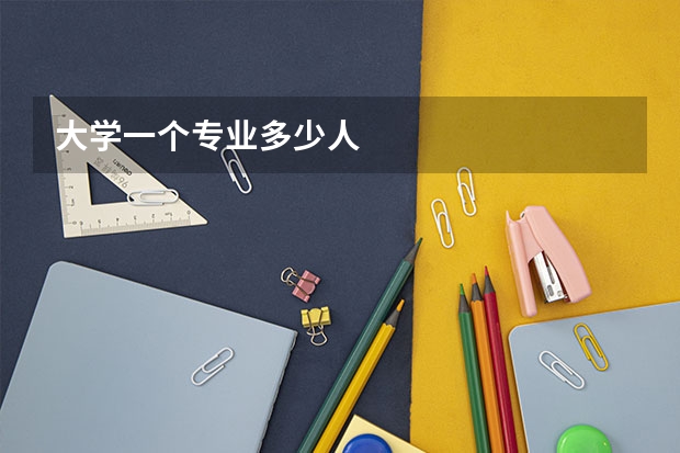 大学一个专业多少人