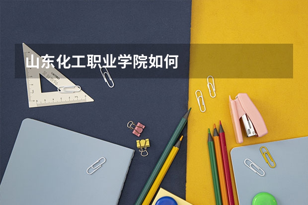 山东化工职业学院如何