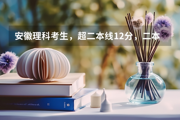 安徽理科考生，超二本线12分，二本征集志愿怎么填？