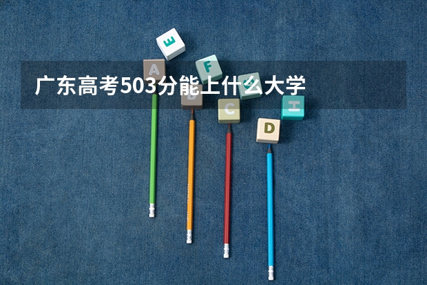 广东高考503分能上什么大学