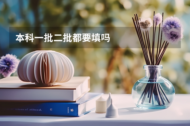 本科一批二批都要填吗