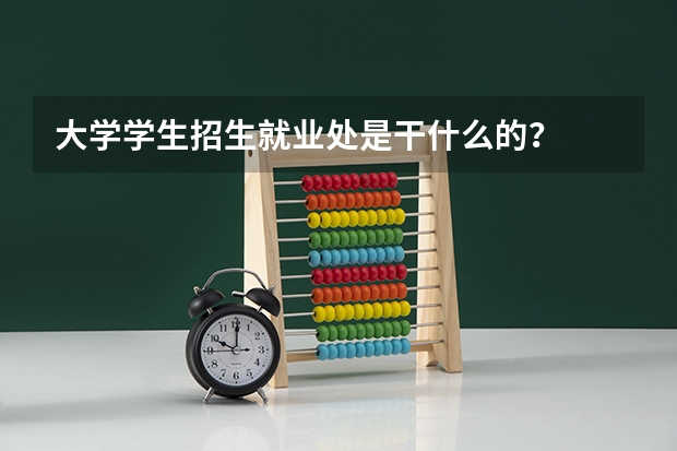 大学学生招生就业处是干什么的？