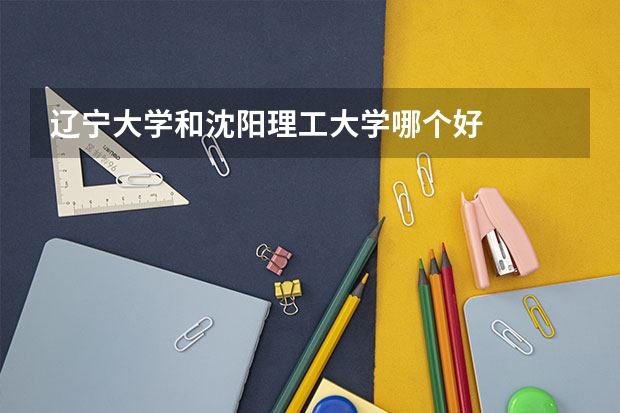 辽宁大学和沈阳理工大学哪个好