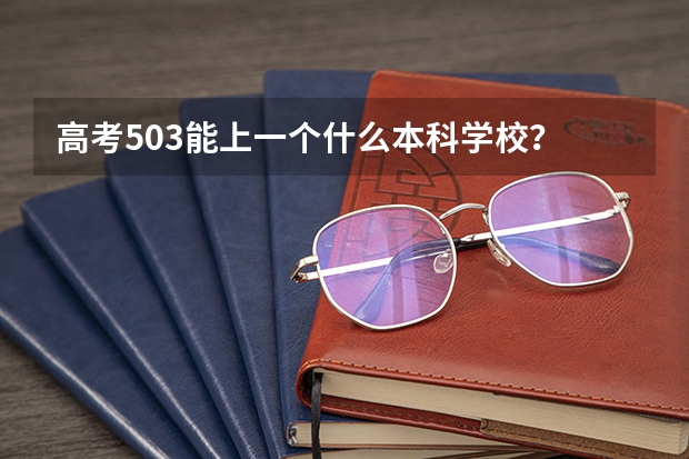 高考503能上一个什么本科学校？