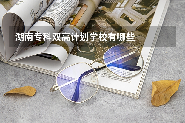 湖南专科双高计划学校有哪些