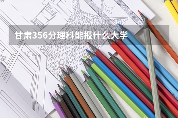 甘肃356分理科能报什么大学
