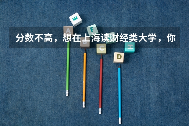 分数不高，想在上海读财经类大学，你觉得有哪些学校可以选择？