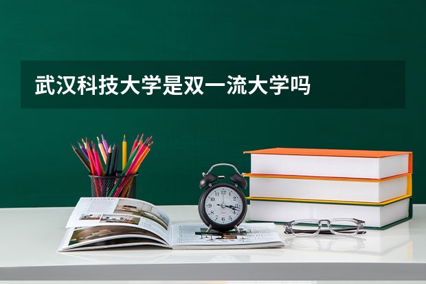 武汉科技大学是双一流大学吗