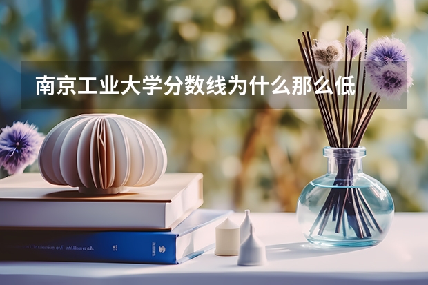 南京工业大学分数线为什么那么低