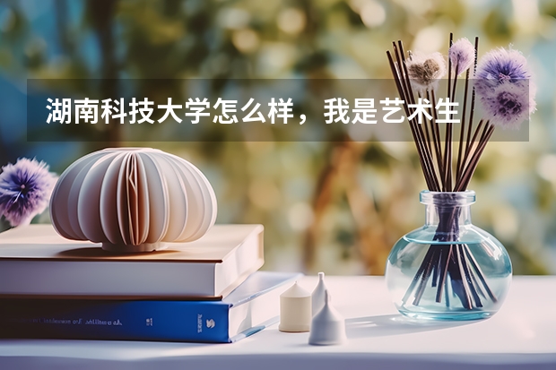 湖南科技大学怎么样，我是艺术生