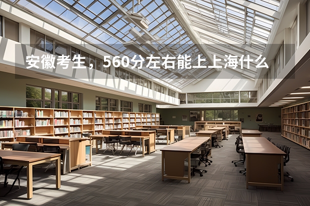 安徽考生，560分左右能上上海什么大学，还有外省的哪些学校好？