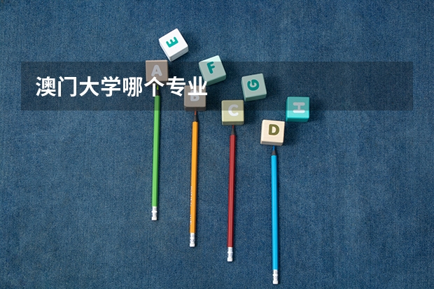澳门大学哪个专业