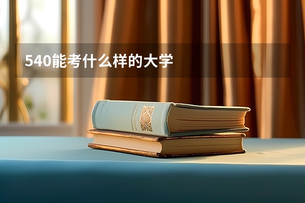 540能考什么样的大学