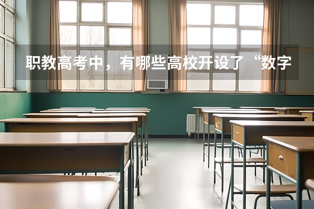 职教高考中，有哪些高校开设了“数字媒体技术应用”这个专业？