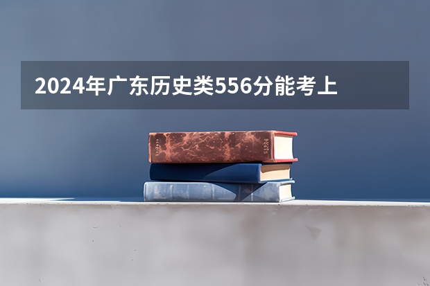 2024年广东历史类556分能考上什么大学?