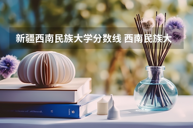 新疆西南民族大学分数线 西南民族大学彝语文录取分数线