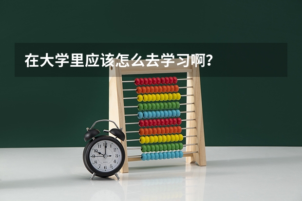 在大学里应该怎么去学习啊？
