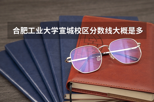 合肥工业大学宣城校区分数线大概是多少