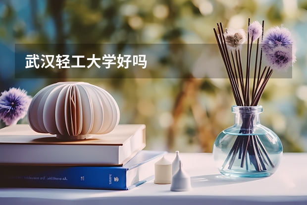 武汉轻工大学好吗