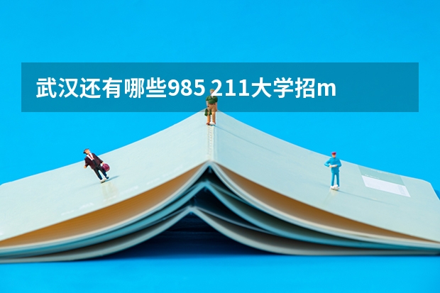 武汉还有哪些985 211大学招mpacc全日制