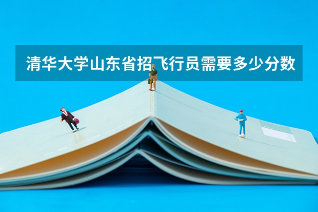 清华大学山东省招飞行员需要多少分数