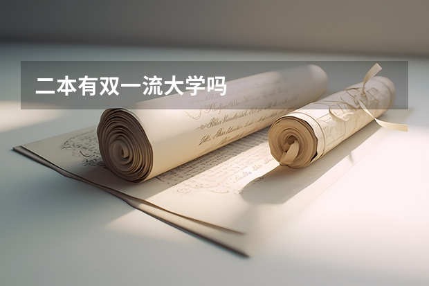 二本有双一流大学吗