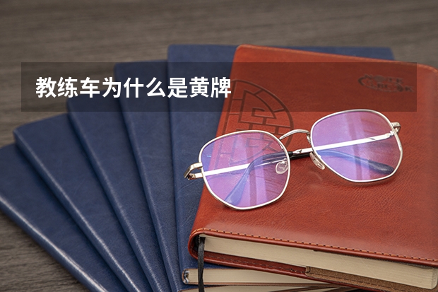教练车为什么是黄牌