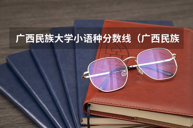 广西民族大学小语种分数线（广西民族大学分数线）