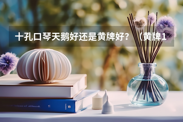 十孔口琴天鹅好还是黄牌好？（黄牌102口琴压音问题）