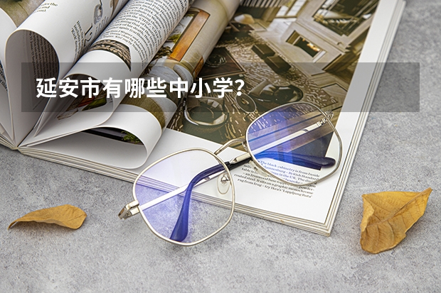 延安市有哪些中小学？