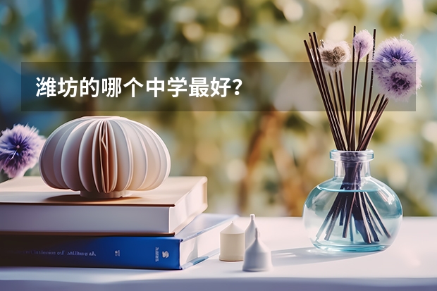 潍坊的哪个中学最好？
