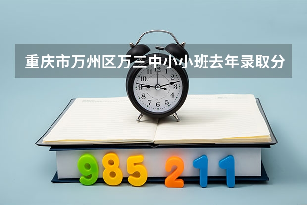 重庆市万州区万三中小小班去年录取分数线是多少?拜托了各位 谢谢