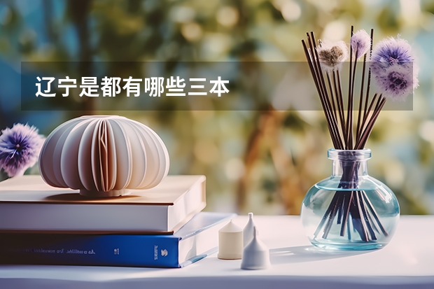 辽宁是都有哪些三本