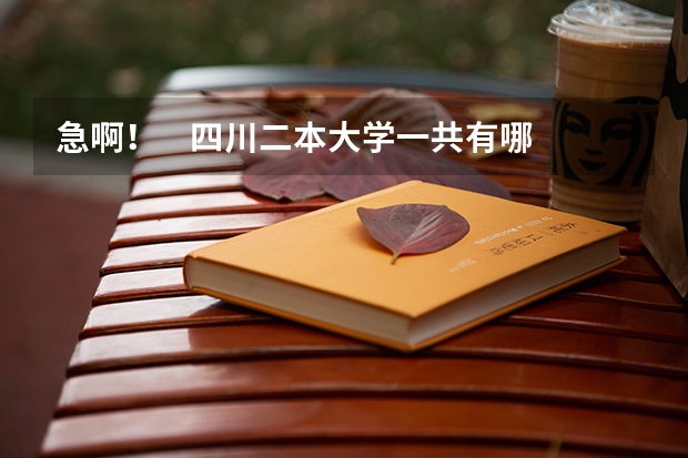 急啊！    四川二本大学一共有哪些哦？比较好的  最好把所有的四川二本大学都列出来哈  谢谢