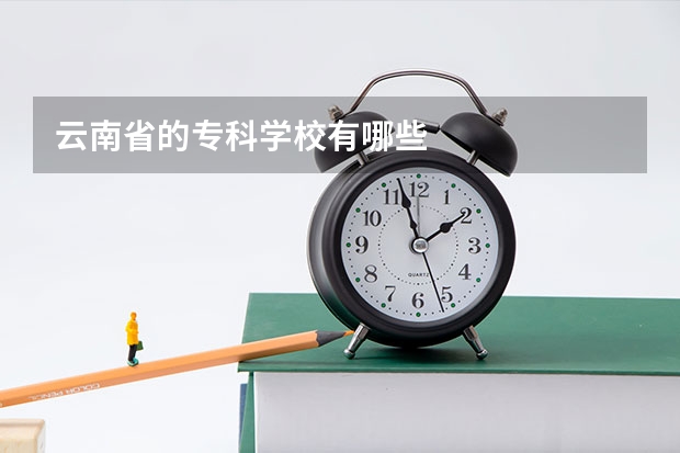 云南省的专科学校有哪些