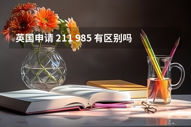 英国申请 211 985 有区别吗