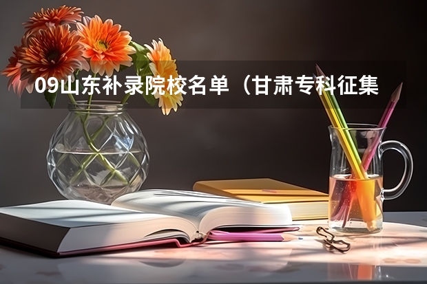 09山东补录院校名单（甘肃专科征集补录院校名单）