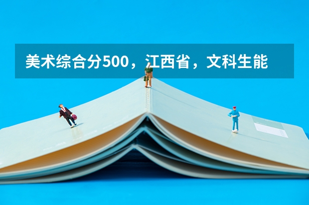 美术综合分500，江西省，文科生能考什么样的大学？