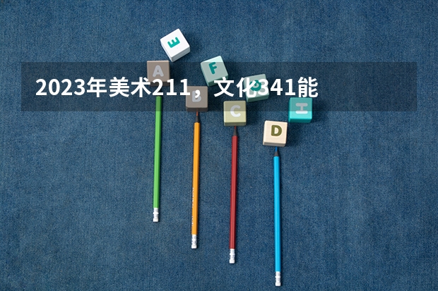 2023年美术211，文化341能上四川什么学校？