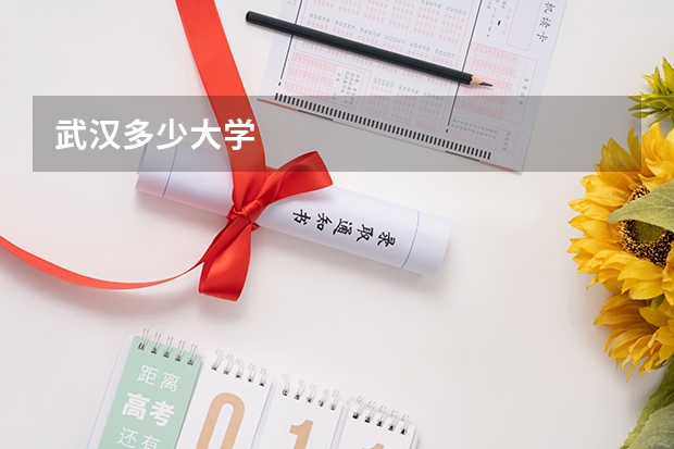 武汉多少大学