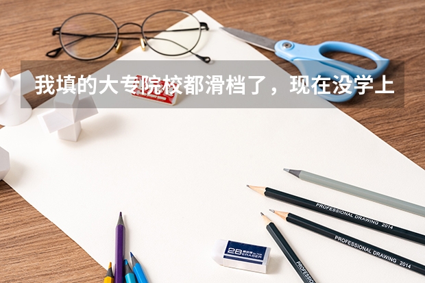 我填的大专院校都滑档了，现在没学上，该怎么办