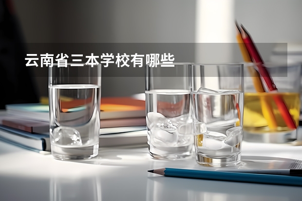 云南省三本学校有哪些