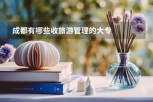 成都有哪些收旅游管理的大专
