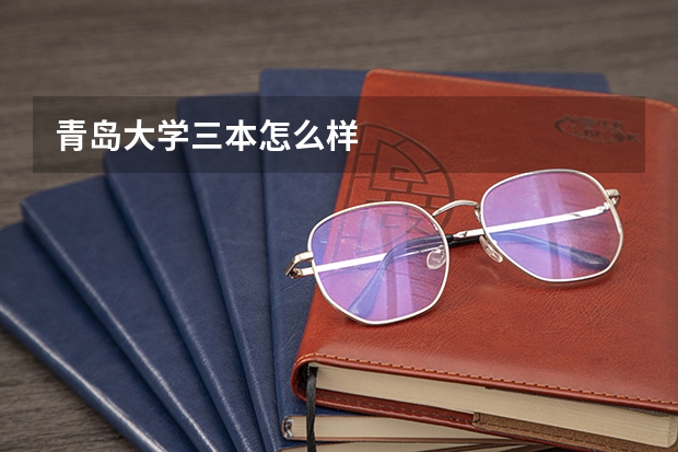 青岛大学三本怎么样
