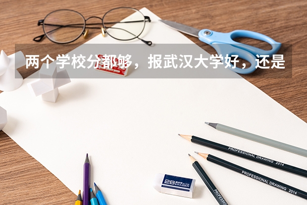 两个学校分都够,报武汉大学好,还是电子科大好? 武汉信息传播职业技术学院录取线